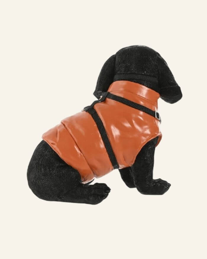 Black Dog with Orange Vest