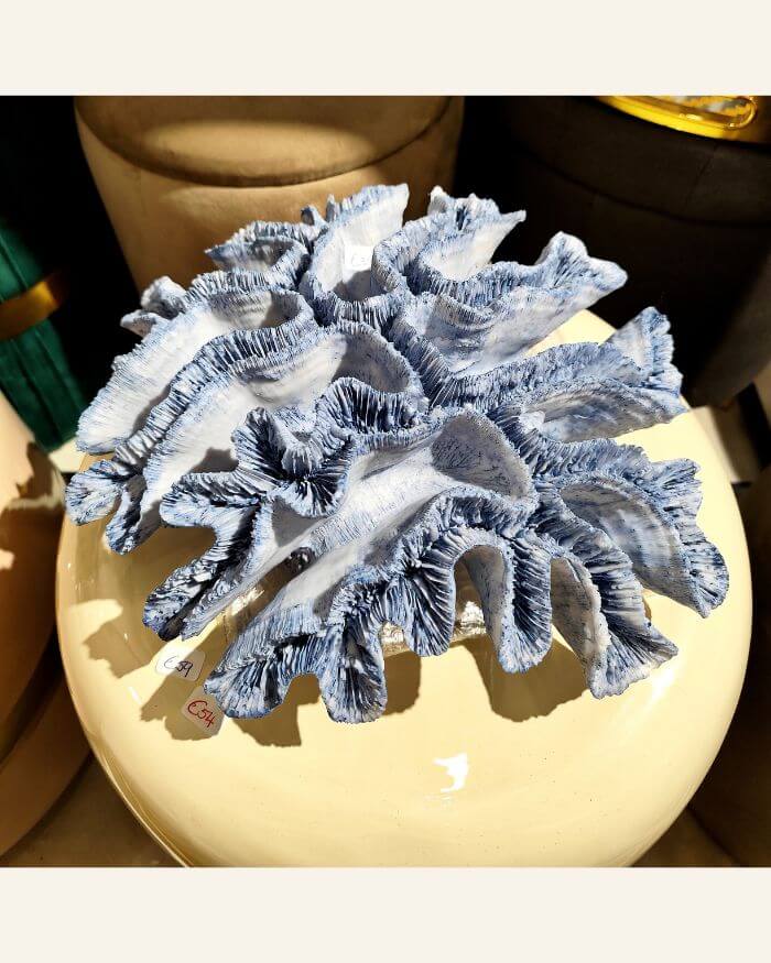 Blue Coral