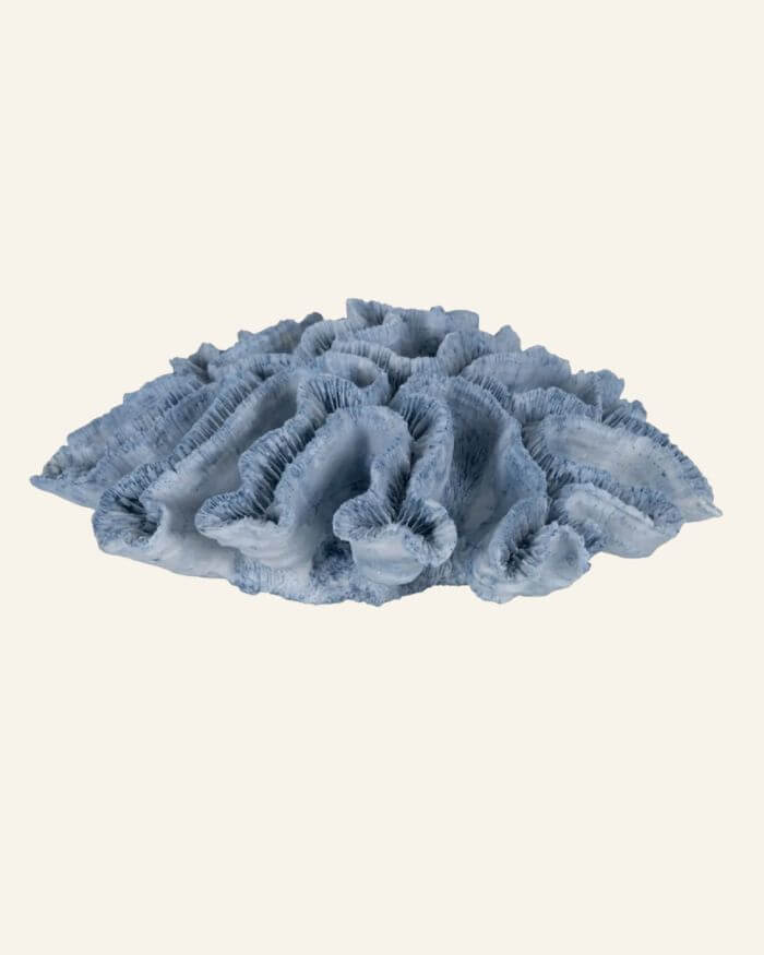 Blue Coral