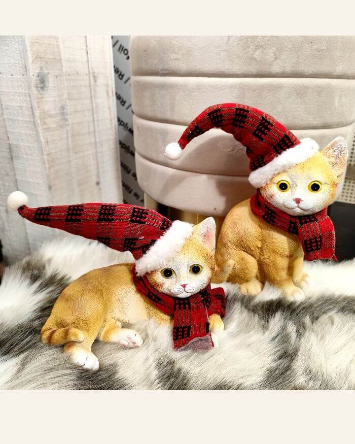 Cat Lying with Hat and Scarf