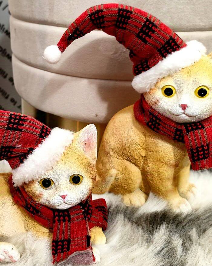 Cat Sitting with Hat and Scarf