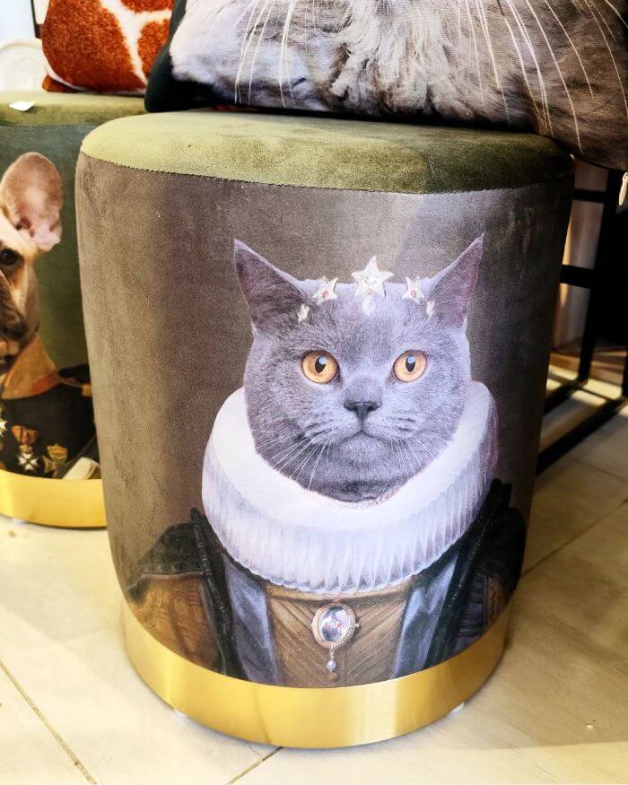 Cat Stool in Velvet and Gold