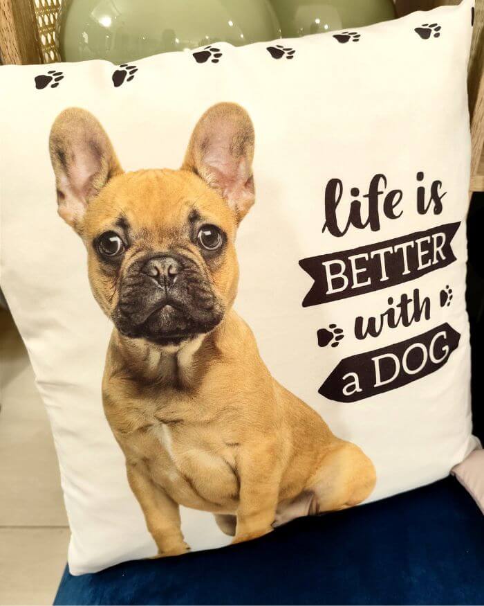 Dog Cushion White Background