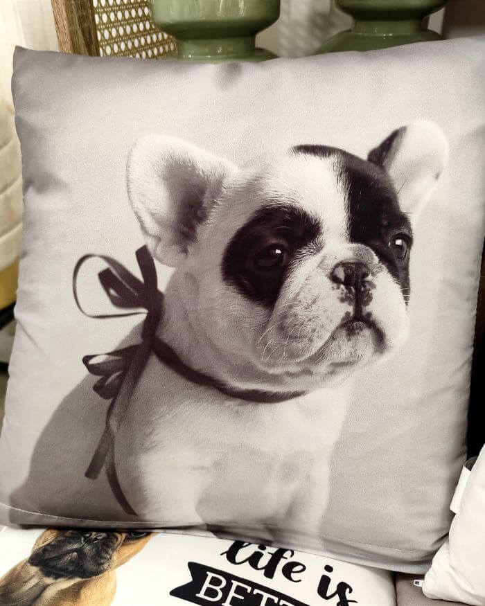 Frenchie Cushion Grey Background