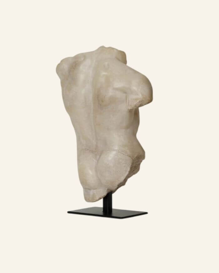 Large Maximillian Torso