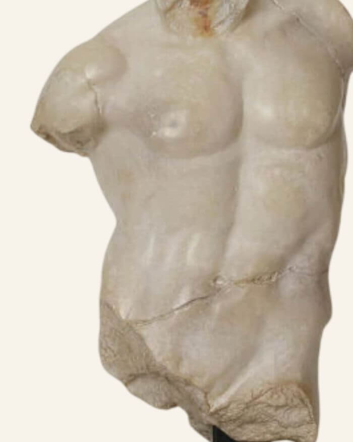 Small Maximillian Torso