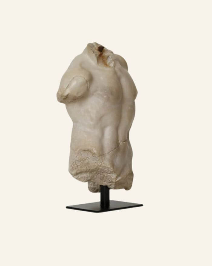 Small Maximillian Torso