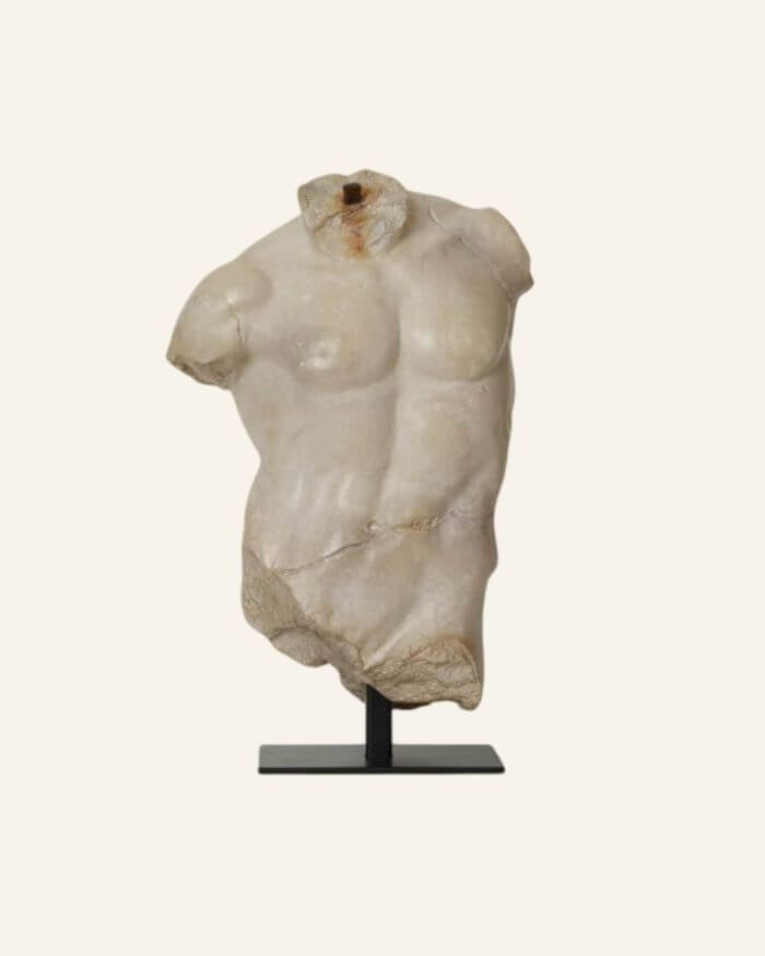 Large Maximillian Torso