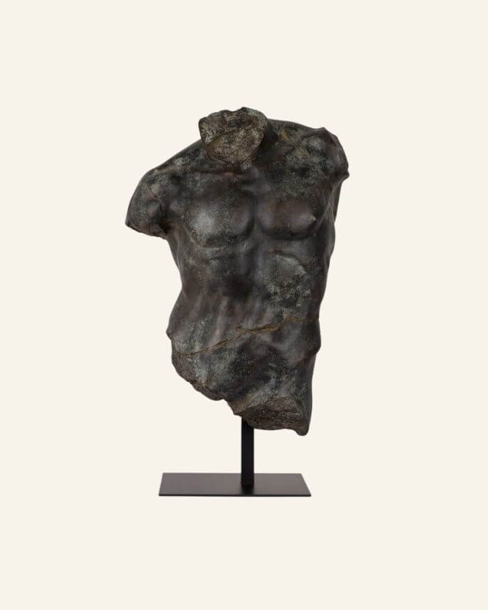 Large Bronze Maximillian Torso