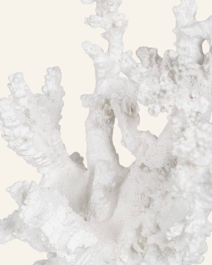 White Resin Coral