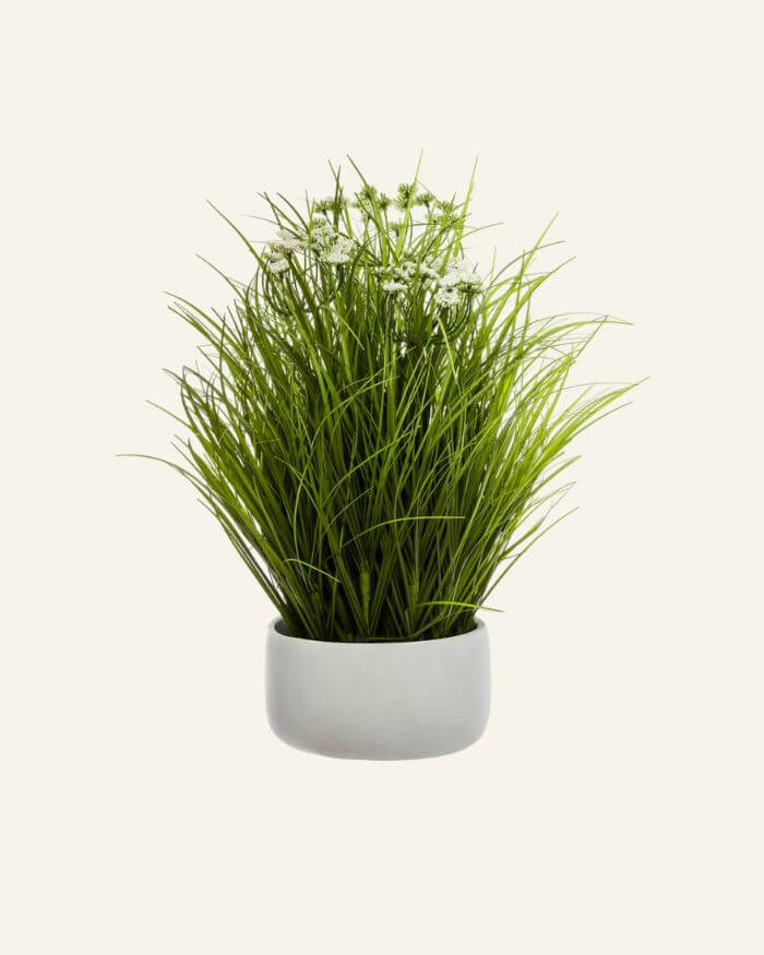 Wild Herb Ceramic Pot