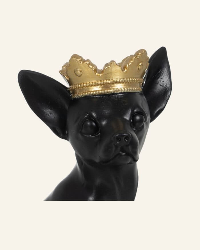 Black Chihuahua with Crown