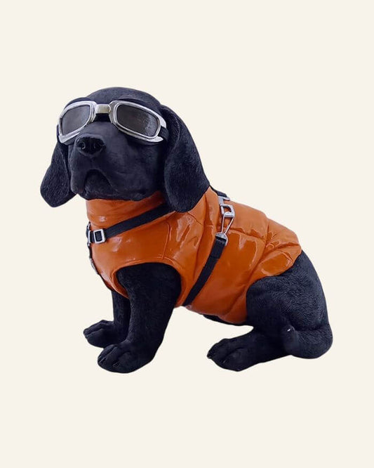 Black Dog with Orange Vest