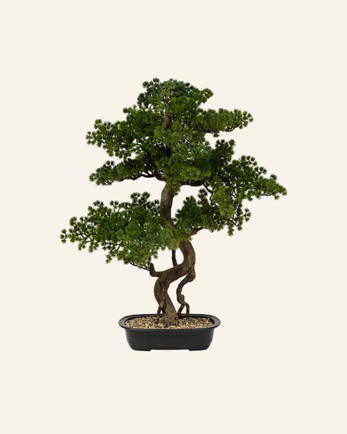 Bonsai Tree Ceramic Pot