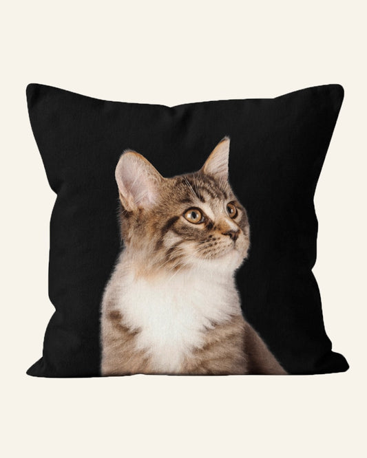 Cat Cushion