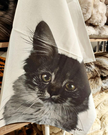 Cat Tea Towel