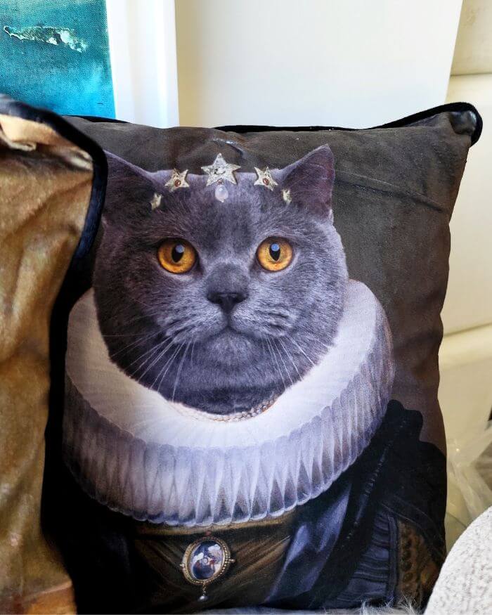 Elegant Grey Cat Cushion