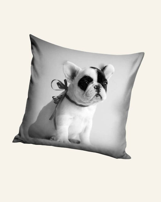 Frenchie Cushion Grey Background