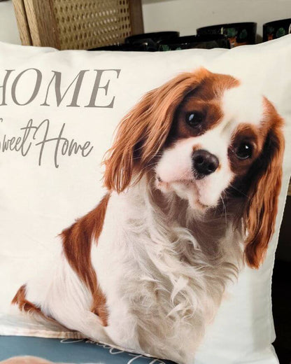 King Charles Cushion White Background