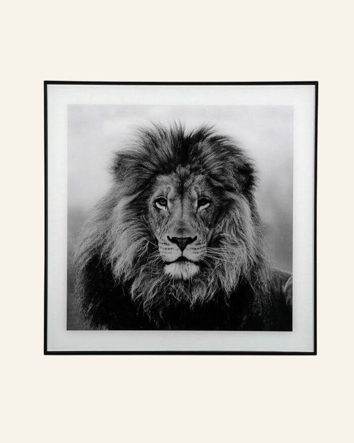 Lion Wall Decor in Black And White