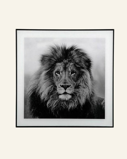 Lion Wall Decor in Black And White