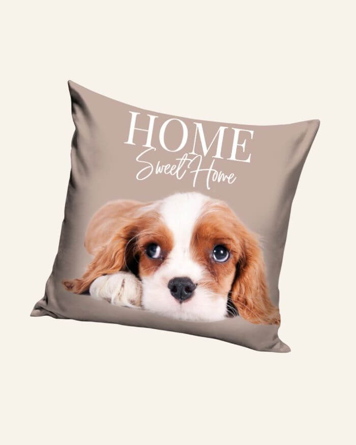 King Charles Cushion Brown Background