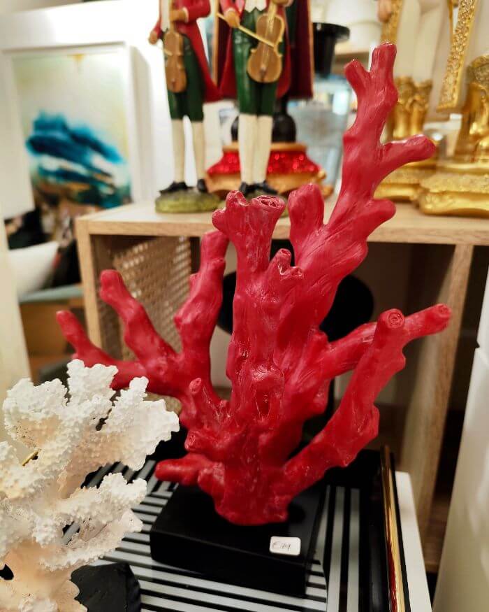 Red Coral on a Black Base