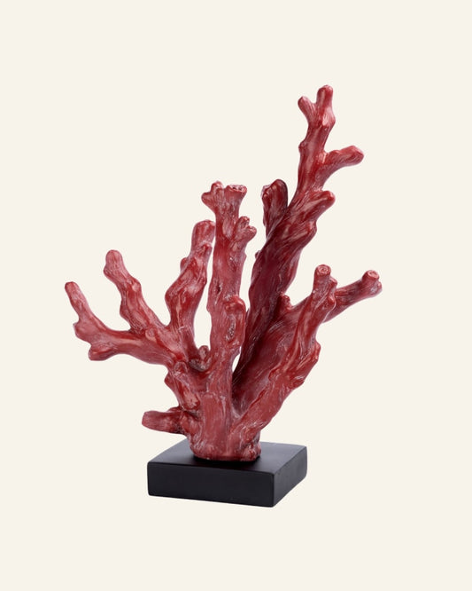 Red Coral on a Black Base