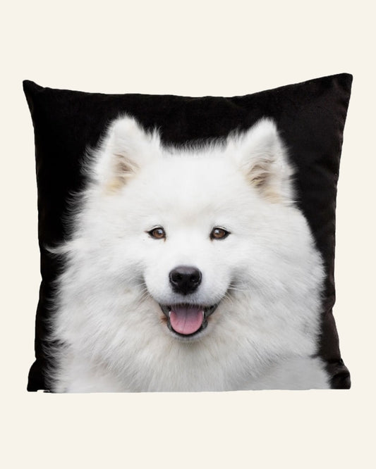 Samoyed Cushion