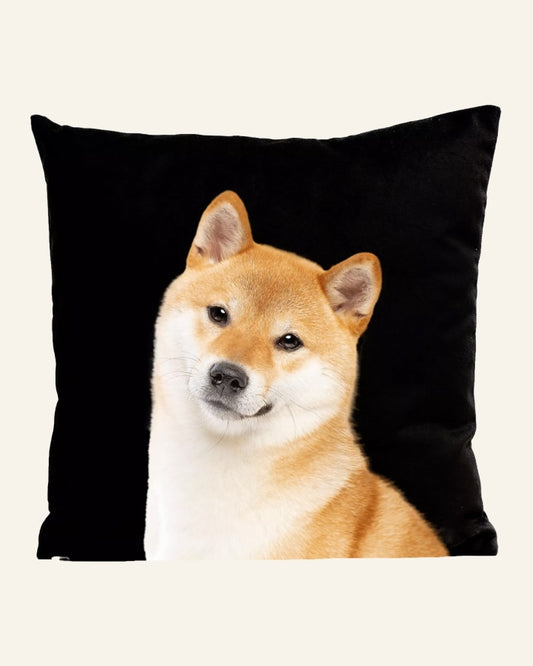 Shiba Cushion