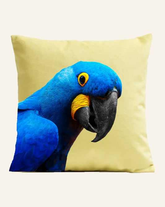 The Parrot Cushion