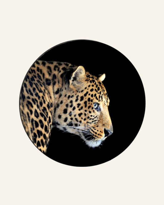 Wall Circle Leopard in Colour