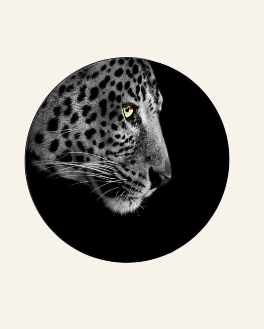 Wall Circle Leopard in Black and White