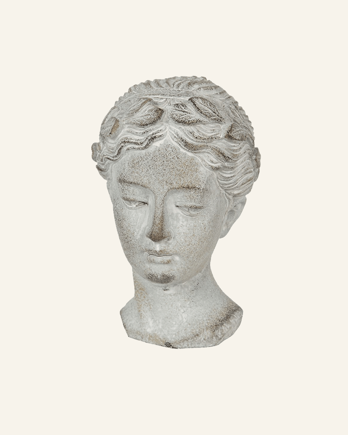 Woman Bust in Grey